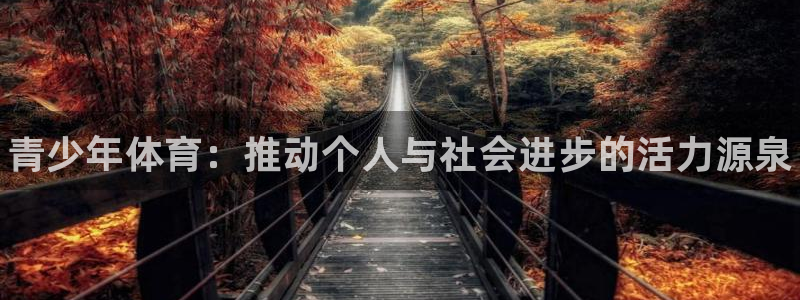 JJB竞技宝官网下载平台注册流程图：青少年体育：推动
