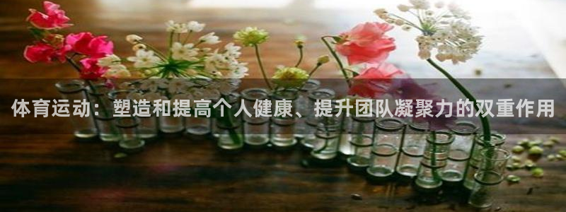 海南JJB竞技宝官网下载发展怎么样：体育运动：塑造和