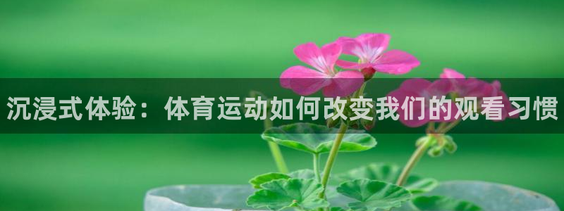 JJB竞技宝官网下载注册：沉浸式体验：体育运动如何改