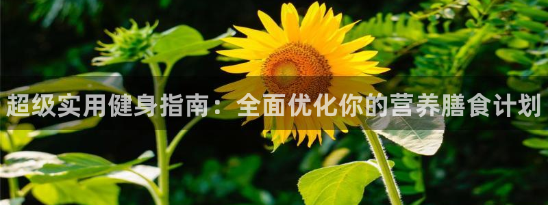 JJB竞技宝官方正版app娱乐下载：超级实用健身指南