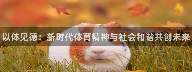 JJB竞技宝官网下载开户：以体见德：新时代体育精神与