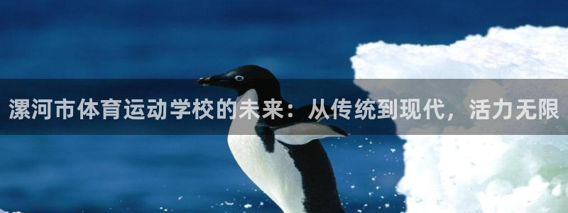 JJB竞技宝官方正版app官网：漯河市体育运动学校的