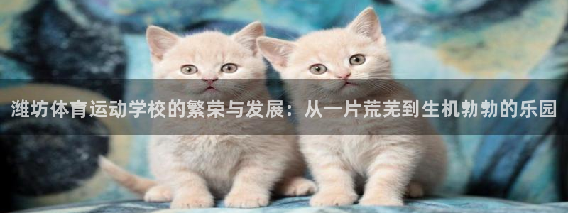 JJB竞技宝官方正版app娱乐下载：潍坊体育运动学校