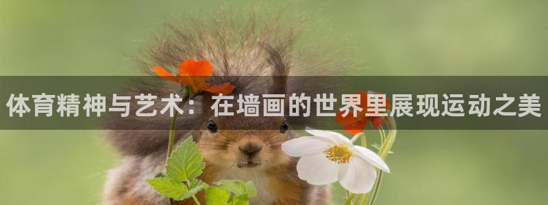 JJB竞技宝官方正版app集团：体育精神与艺术：在墙