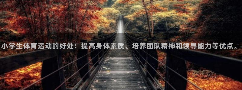JJB竞技宝官方正版app神州