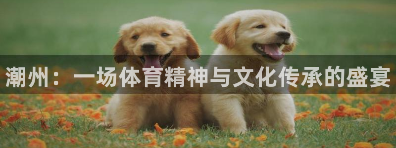 JJB竞技宝官方正版app开户：潮州：一场体育精神与文化传承