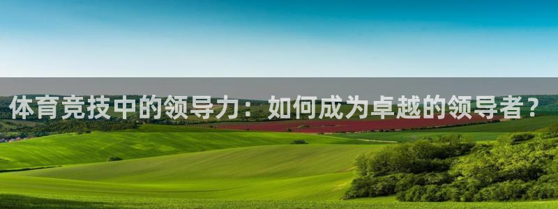 JJB竞技宝官网下载招商电话地址查询：体育竞技中的领