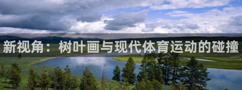 JJB竞技宝官网下载平台注册：新视角：树叶画与现代体