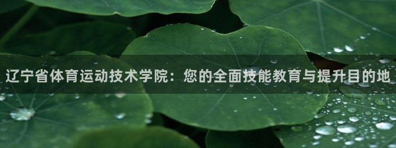 JJB竞技宝官网下载开户：辽宁省体育运动技术学院：您