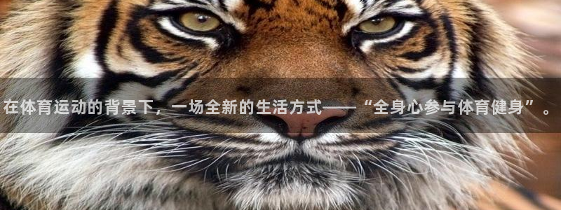 JJB竞技宝官网下载招商电话地址