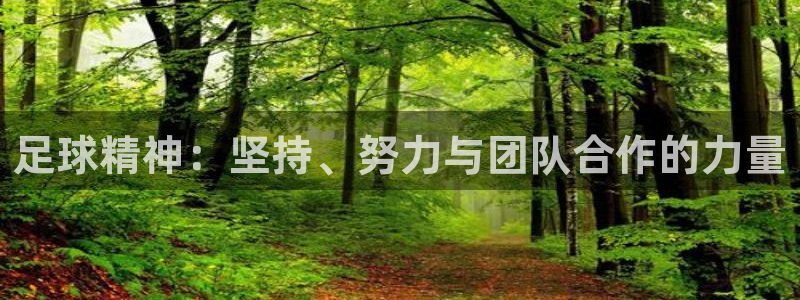 JJB竞技宝官网下载联系电话