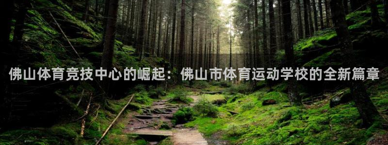 海南JJB竞技宝官网下载：佛山体育竞技中心的崛起：佛山市体育