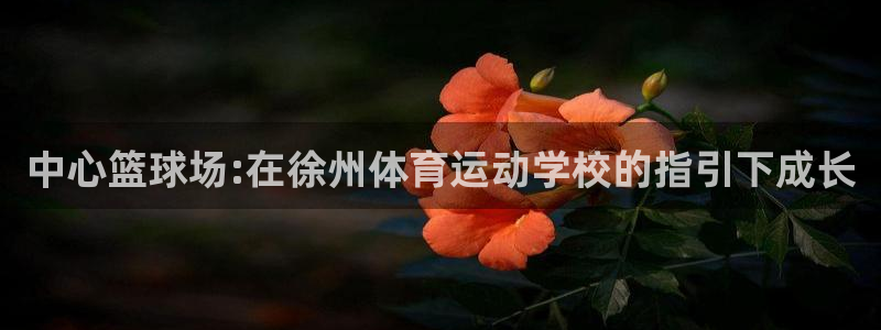 JJB竞技宝官方正版app集团官网网址
