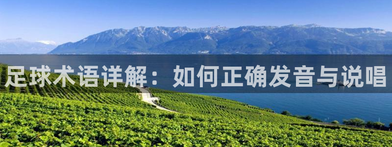 JJB竞技宝官方正版app代理：足球术语详解：如何正确发音与