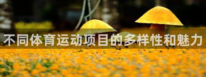 JJB竞技宝官网下载招商电话是多少啊：不同体育运动项目的多样