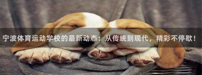 JJB竞技宝官方正版app集团简介：宁波体育运动学校的最新动