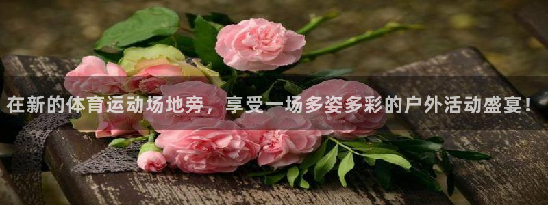 JJB竞技宝官方正版app开户：在新的体育运动场地旁，享受一