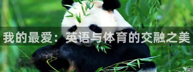 JJB竞技宝官网下载软件：我的最爱：英语与体育的交融之美