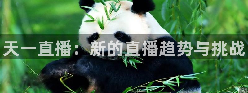 柠檬直播足球高清免费直播：天一直播：新的直播趋势与挑战