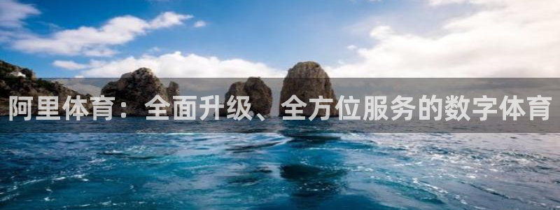 竞技宝官网登录入口：阿里体育：全面升