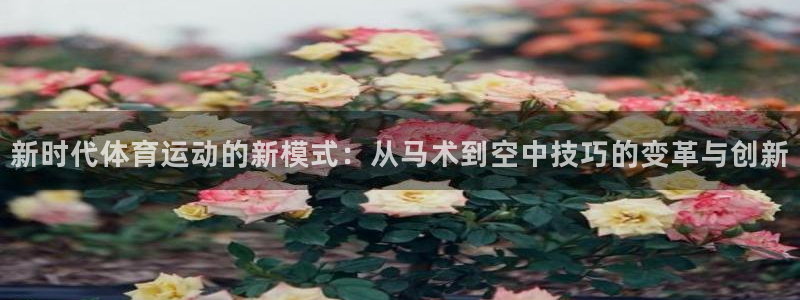 竞技宝 app官网下载安装：新时代体