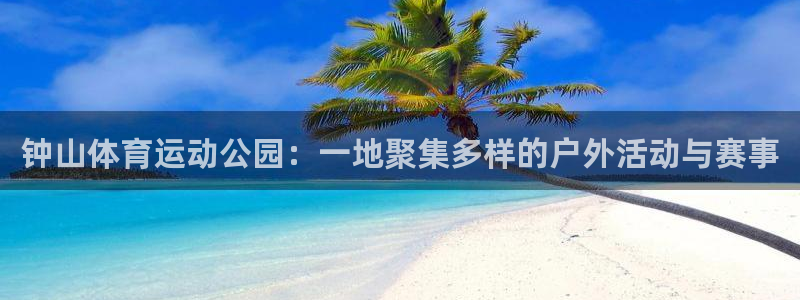竞技宝最新
