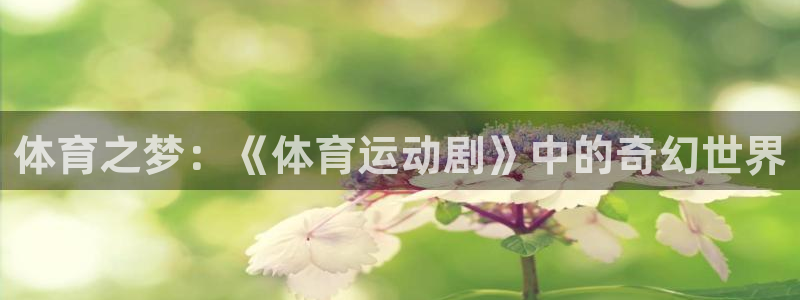 竞技宝下载JJB