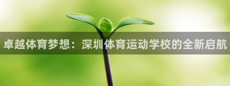  竞技宝网页：卓越体育梦想：深圳体育运动学校的全新启航