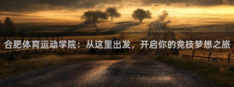竞技宝网站安全吗看哈哈电竞：合肥体育运动学院：从这里出发，开