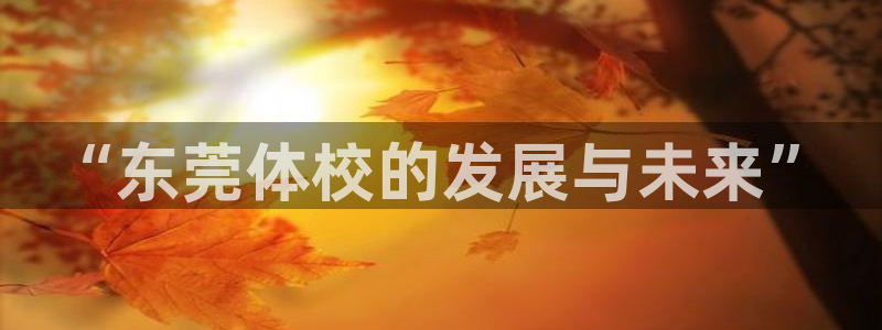 竞技宝怎么样：“东莞体校的发展与未来”