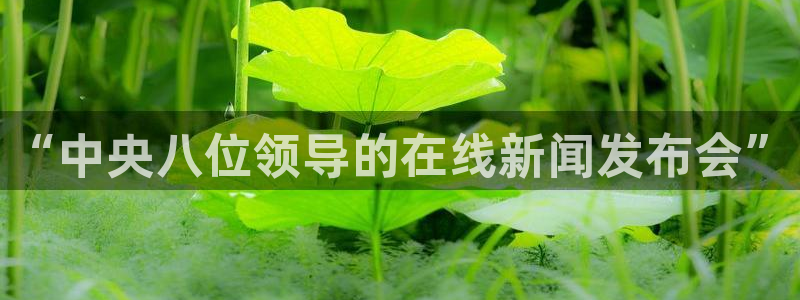 柠檬直播 篮球