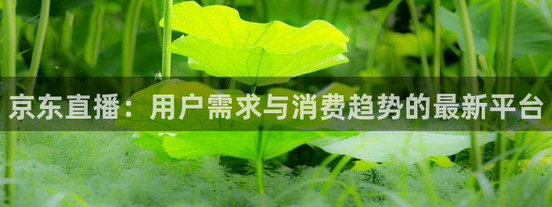 柠檬体育直播篮球