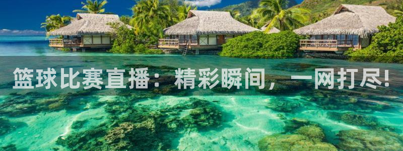 篮球比赛直播在线观看柠檬直播：篮球比赛直播：精彩瞬间，一网打尽!