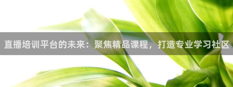 柠檬体育直播nba