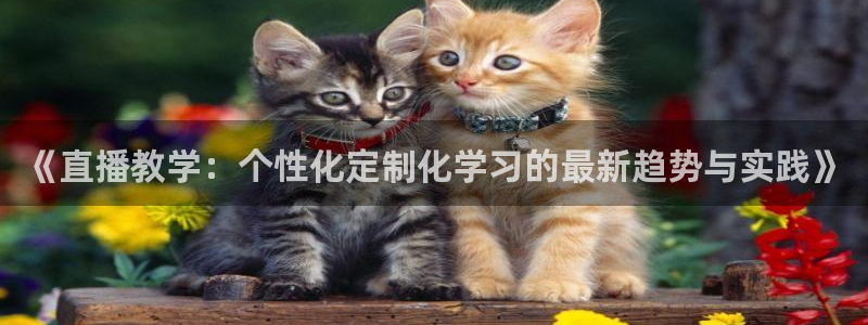 柠檬体育比赛直播