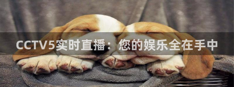 柠檬直播足球直播：CCTV5实时直播：您的娱乐全在手中