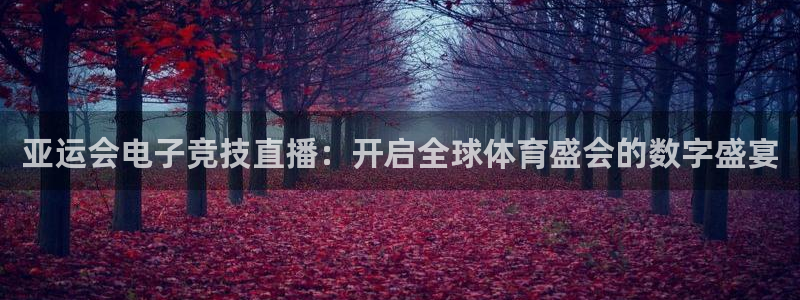 柠檬直播体育足球：亚运会电子竞技直播：开启全球体育盛会的数字盛宴